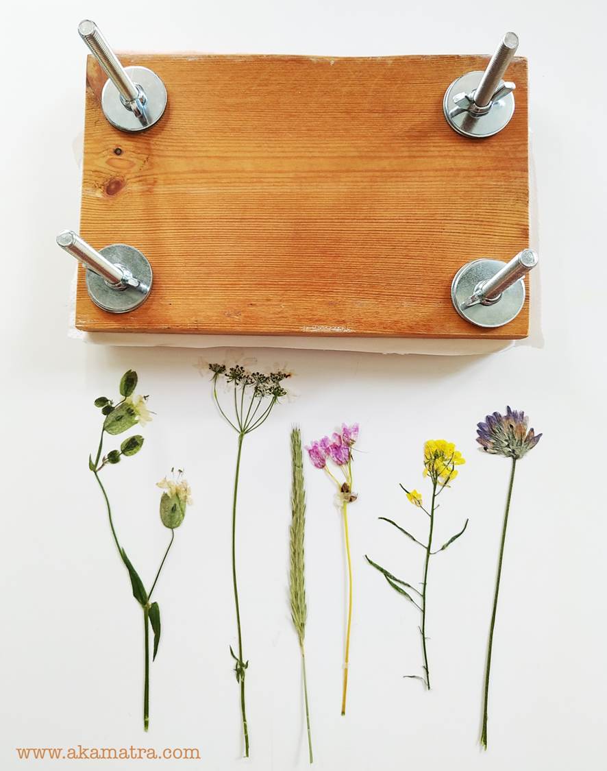 easy DIY flower presser