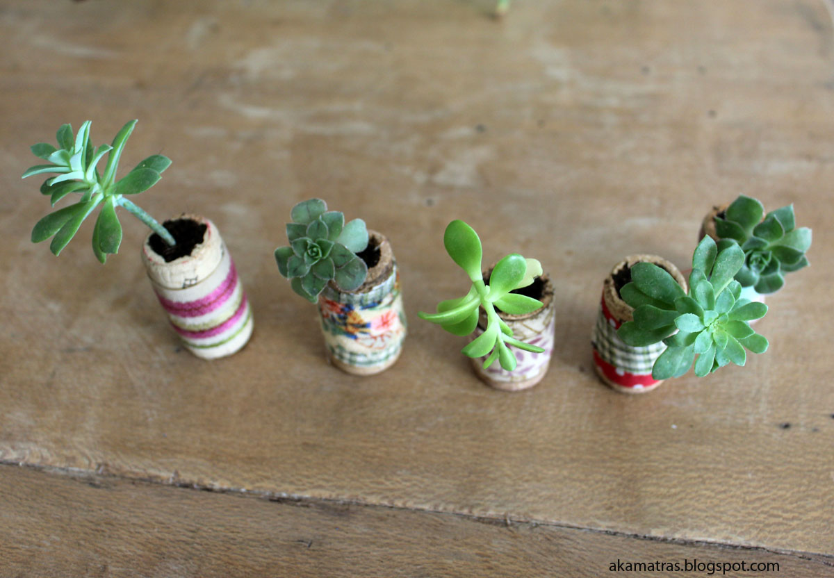 DIY Pom Pom Trees in Cork Planters