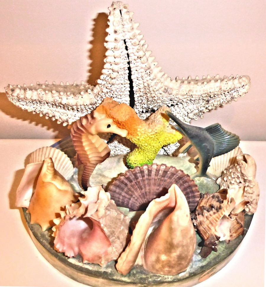 authentic-sea-shells-685141_1280.jpg