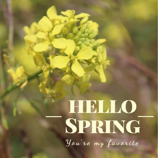 Hello Spring!