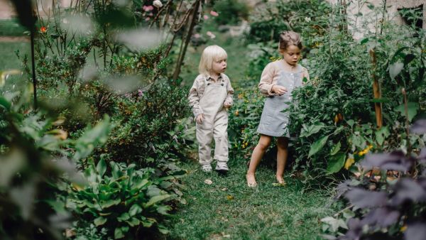 How To Turn Your Shed Into A Dream Playhouse