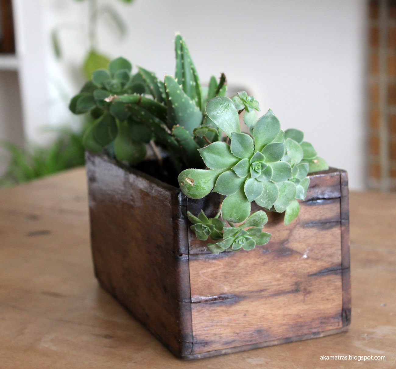 Reclaimed wooden planter for succulents - DIY