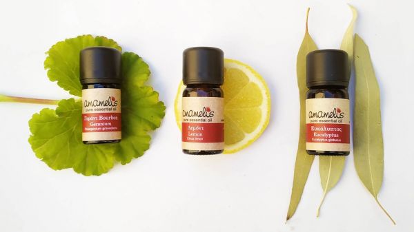 Three essential oil bottles on leaves