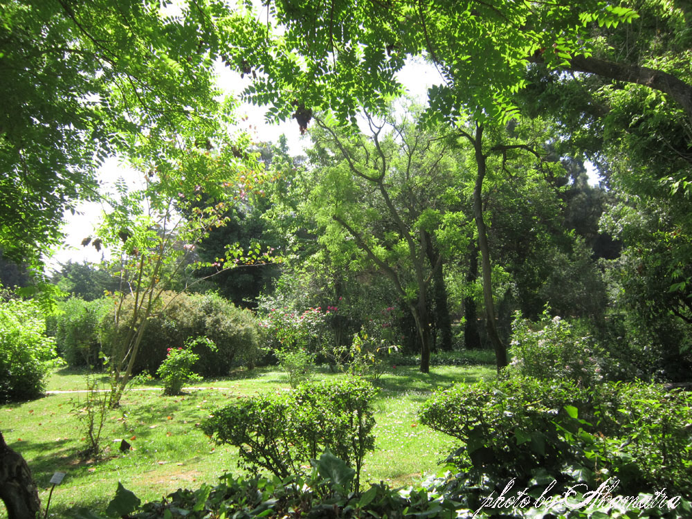 A walk in the botanical garden