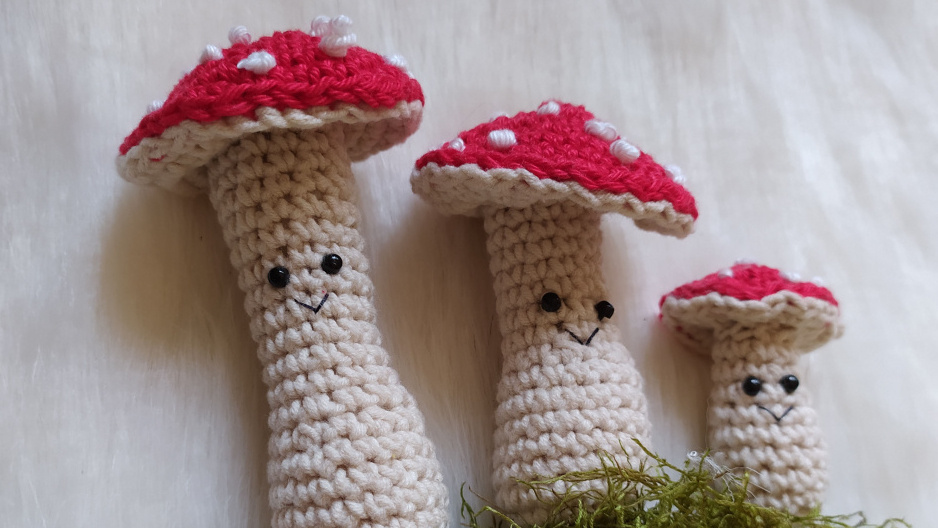 toadstool-with-logos.jpeg