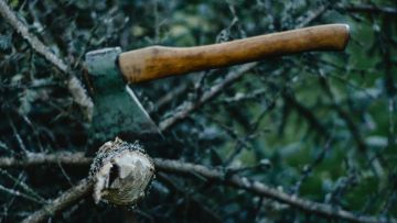 chop-wood.jpeg